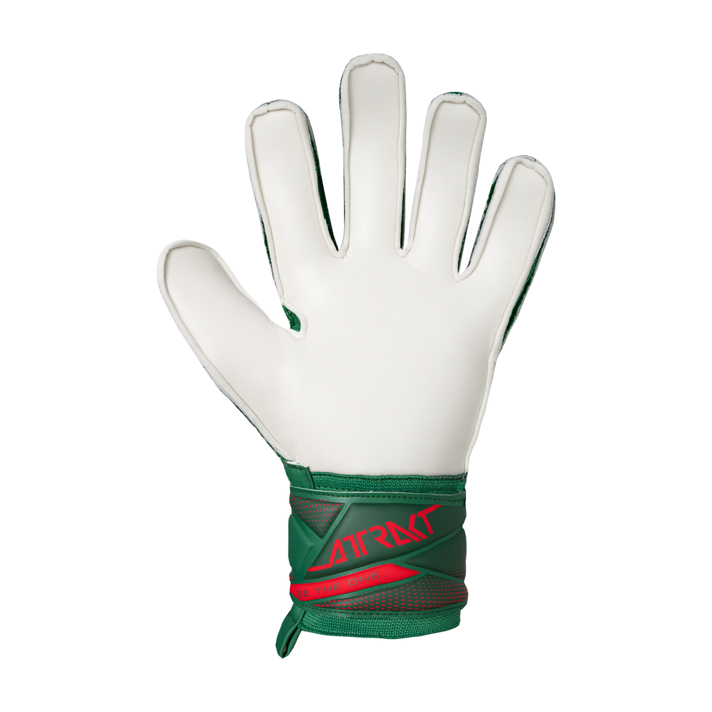 Reusch Attrakt Solid Junior Mexico Colors Goalkeeper Gloves