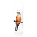 Deathwish Skateboard Deck Yuri Facchini Sabia-Laranjeira 8.125" x 31.5"