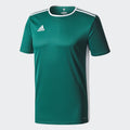 Entrada 18 Jersey - Green/White