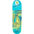 Anti Hero Daan VanDer Linden Expressions Skateboard Deck 8.28"
